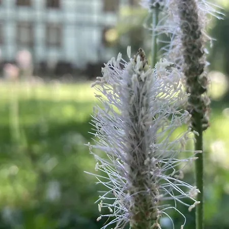 Poppenhaeuser Muehle Apartament *