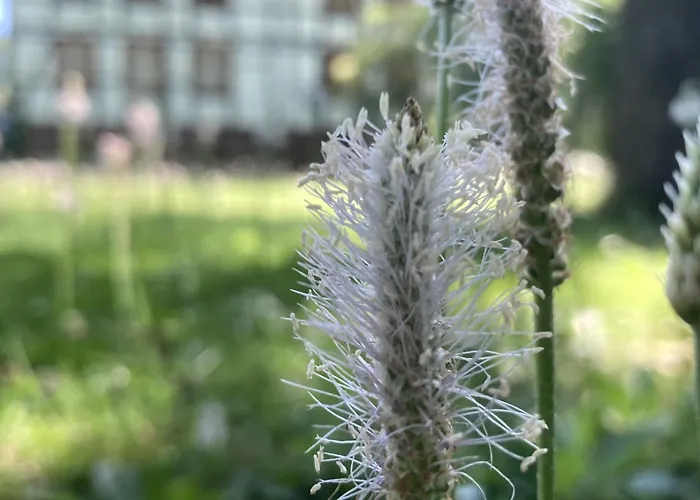 Poppenhaeuser Muehle Lejlighed *